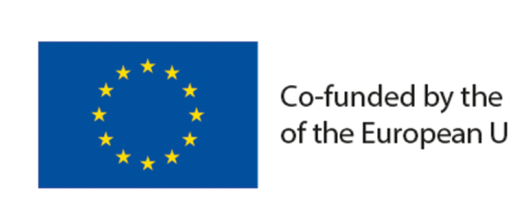 Logotyp för Tex4Im och EU-programmet COSME