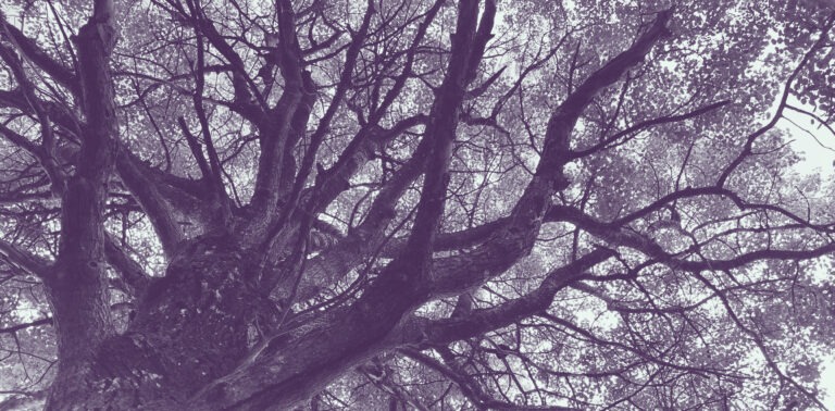 Natur-positiva affärer: Behov, arbetssätt och verktyg för företag